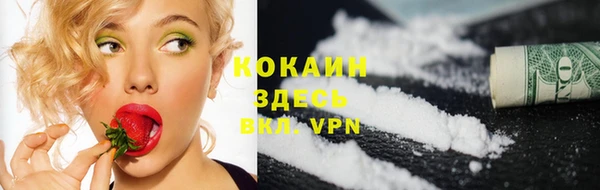 индика Абдулино