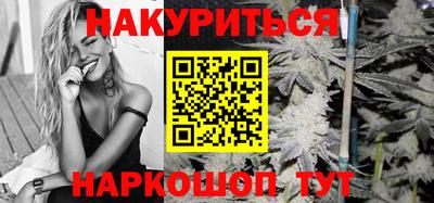 jwh Гатчина