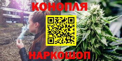 jwh Гатчина