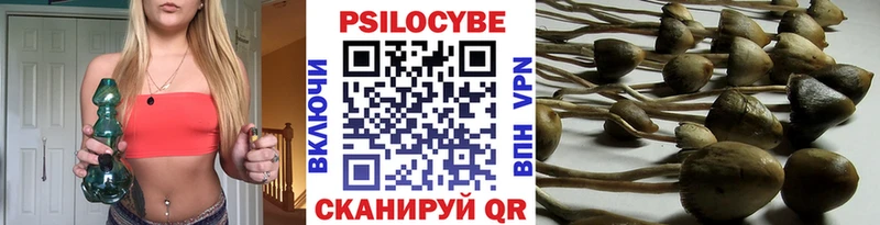 MEGA зеркало  Кашира  Галлюциногенные грибы Psilocybe 