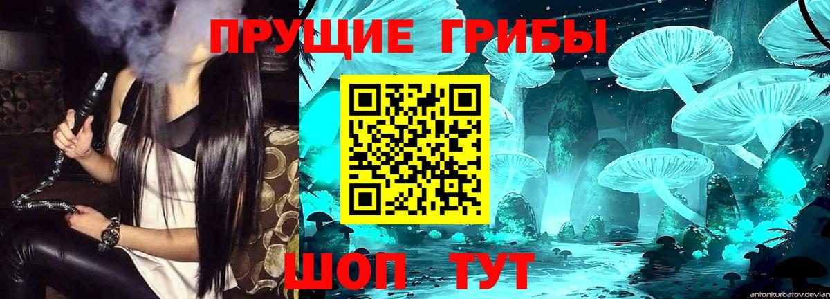 Галлюциногенные грибы мицелий Кашира